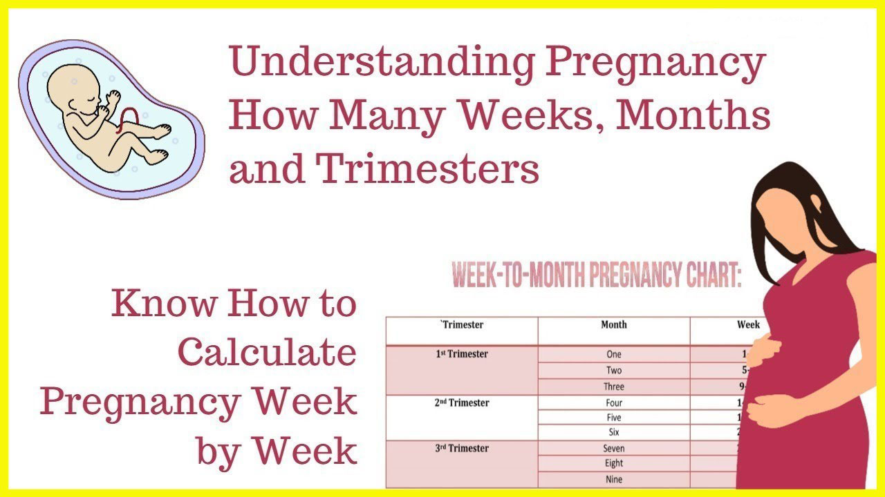 Make a Pregnancy Calendar Week-By-Week